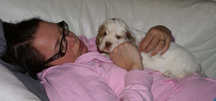 Cotton_Rocky_pups_5weeks_ww