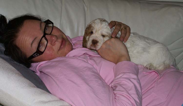 Cotton_Rocky_pups_5weeks_www