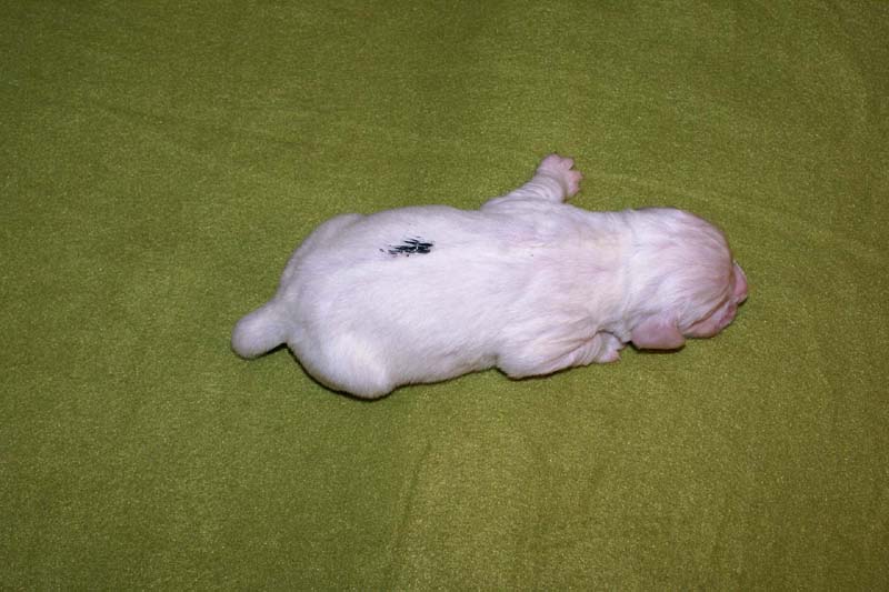 boy_green_back_1week_e