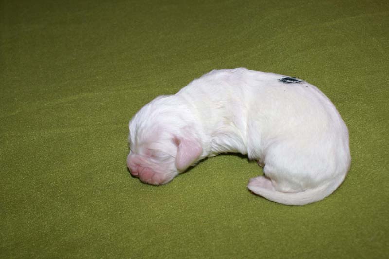 boy_green_back_1week_g