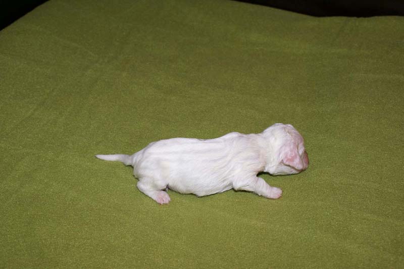 girl_bronze_back_1week_c