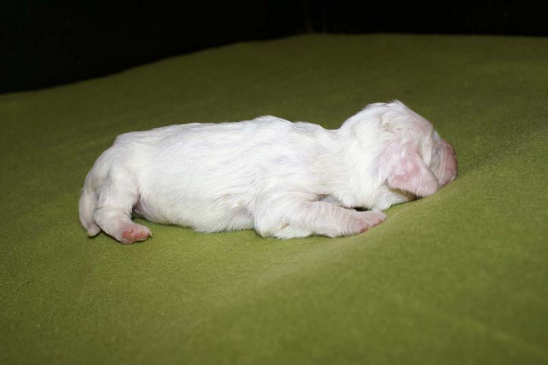 girl_bronze_back_1week_f