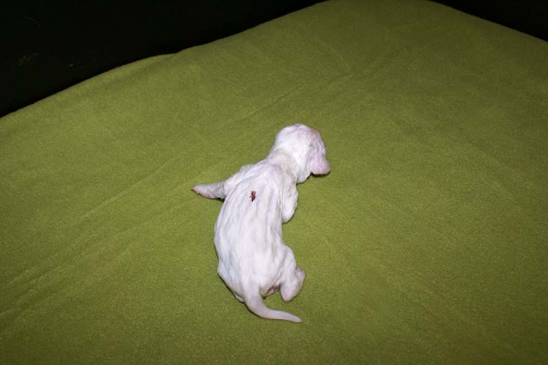 girl_bronze_back_1week_g