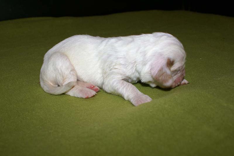 girl_pink_back_1week_e