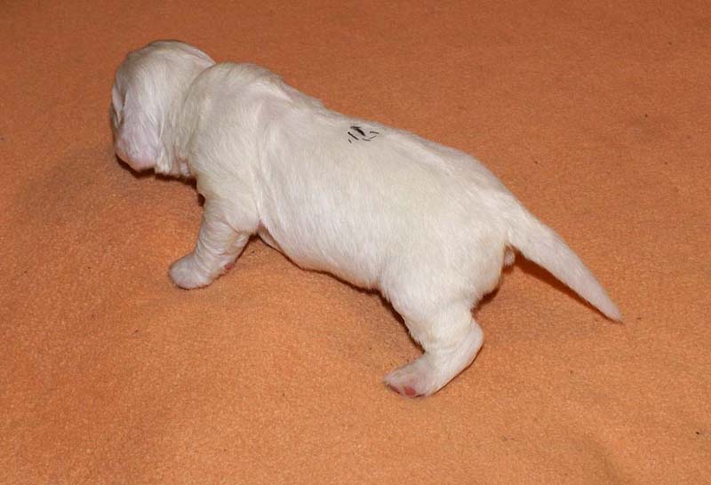 boy_green_back_2weeks_a