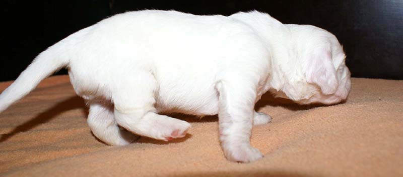 boy_green_back_2weeks_e