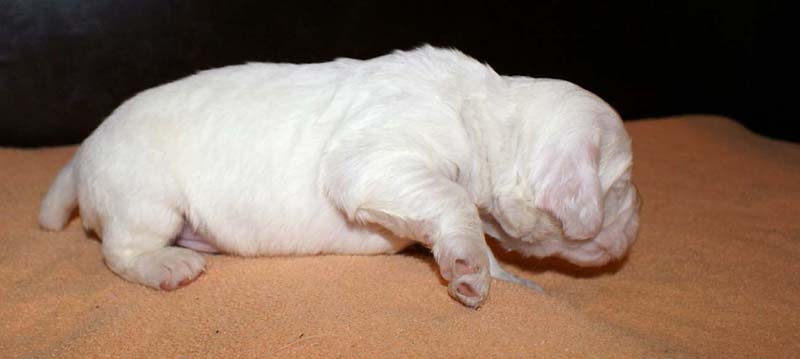 boy_green_back_2weeks_f