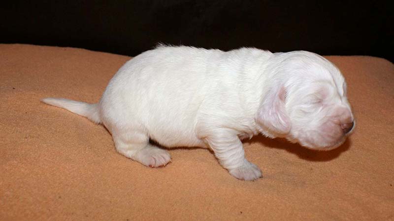 boy_green_back_2weeks_g