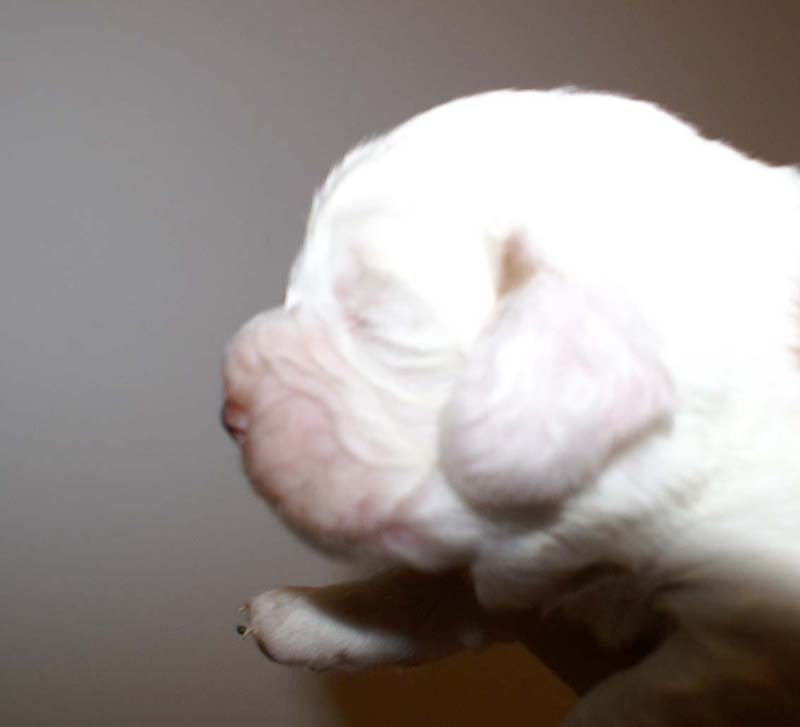 boy_green_back_2weeks_h