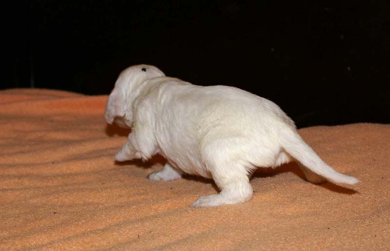 boy_green_head_2weeks_a