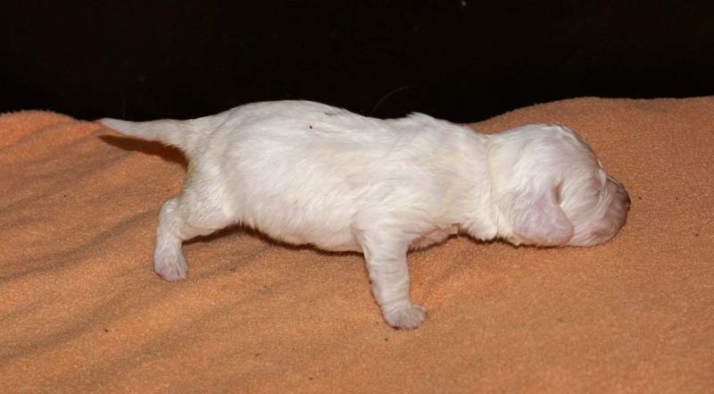 girl_bronze_back_2weeks_b