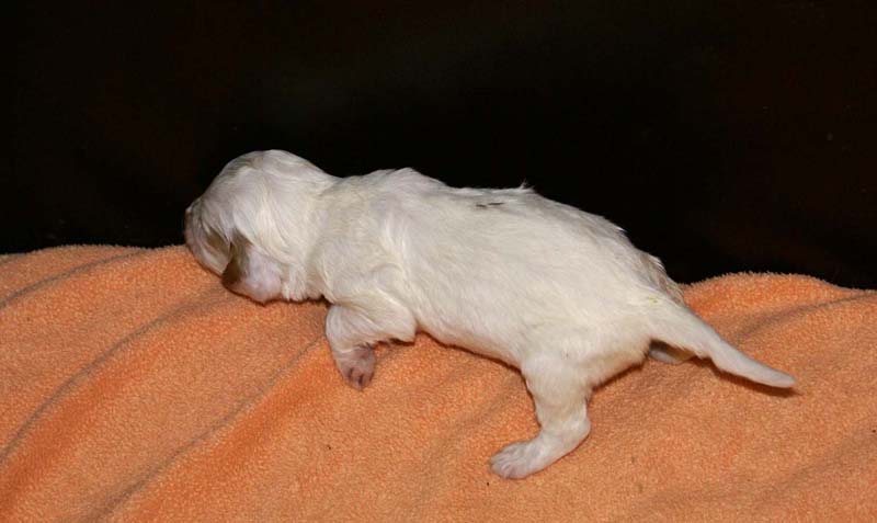 girl_bronze_back_2weeks_c