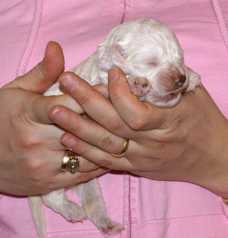 girl_bronze_back_2weeks_e