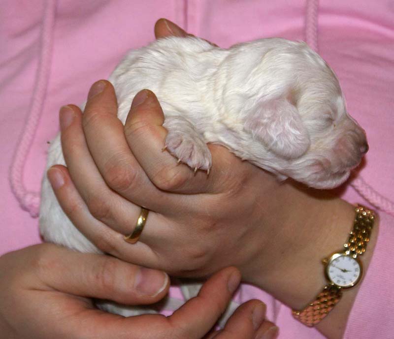 girl_bronze_back_2weeks_f