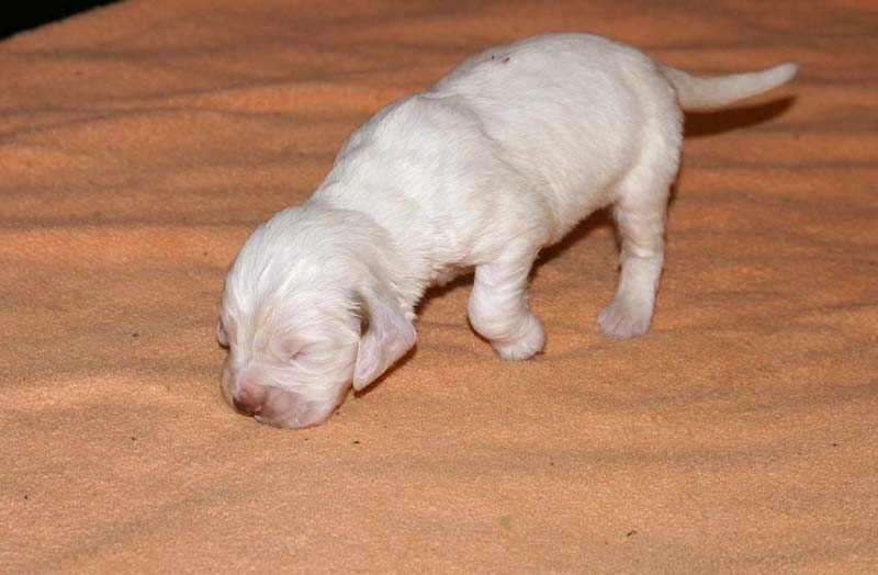 girl_pink_back_2weeks_a