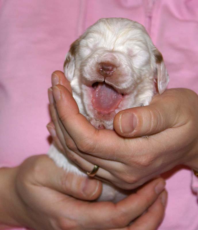 girl_pink_back_2weeks_d