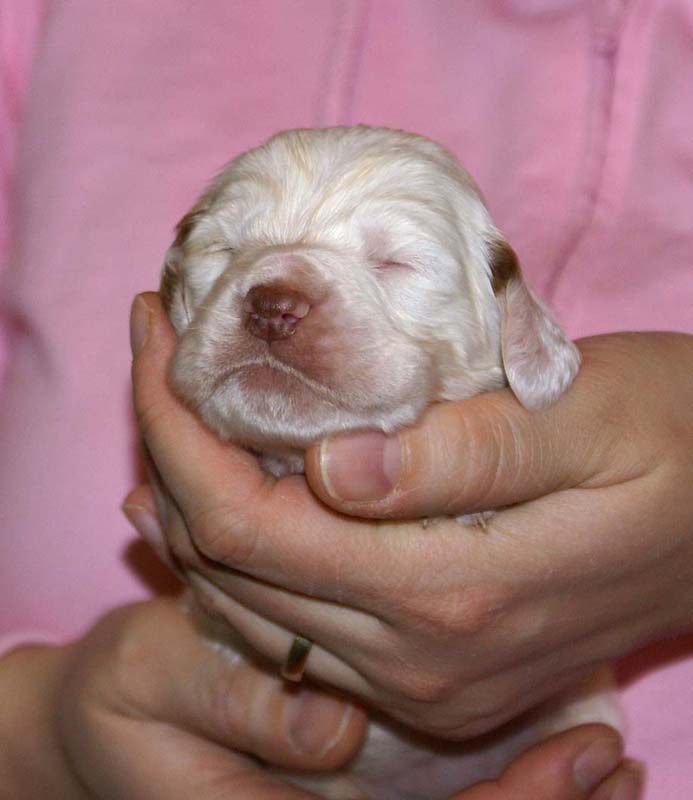 girl_pink_back_2weeks_e