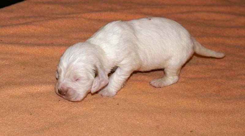 girl_pink_back_2weeks_f