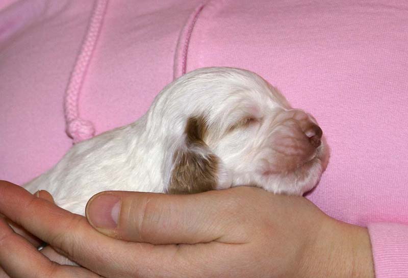 girl_pink_back_2weeks_g