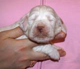 boy_green_back_2weeks_b