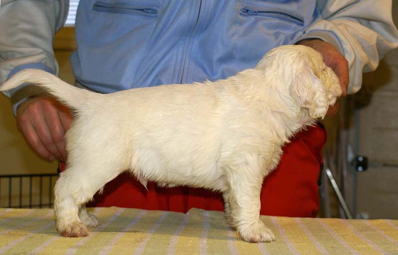 boy_green_back_4,5weeks_a