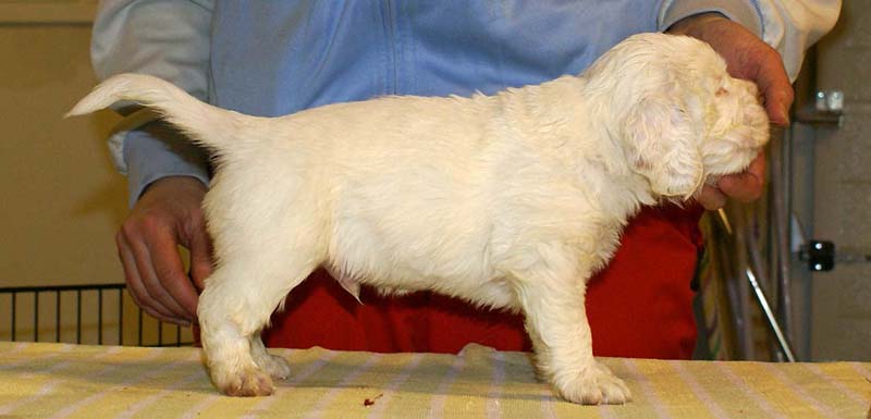 boy_green_back_4,5weeks_c