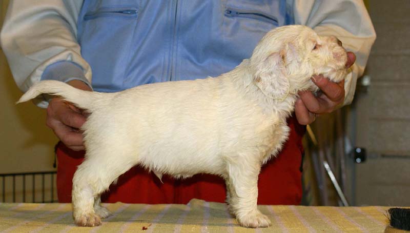 boy_green_back_4,5weeks_d