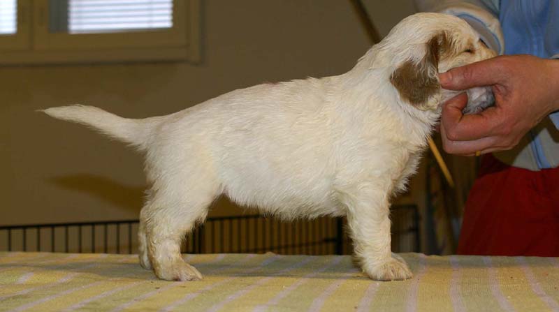 girl_pink_backl_4,5weeks_a