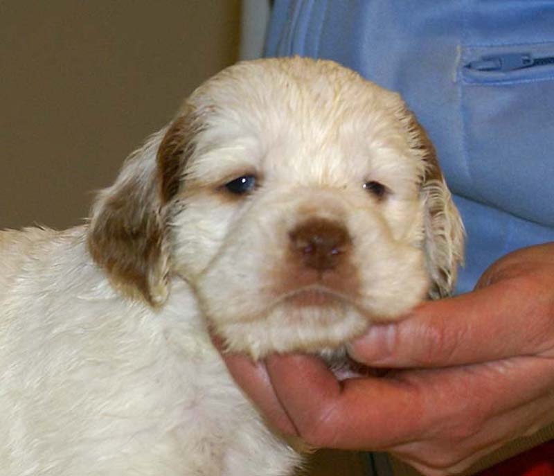 girl_pink_backl_4,5weeks_b