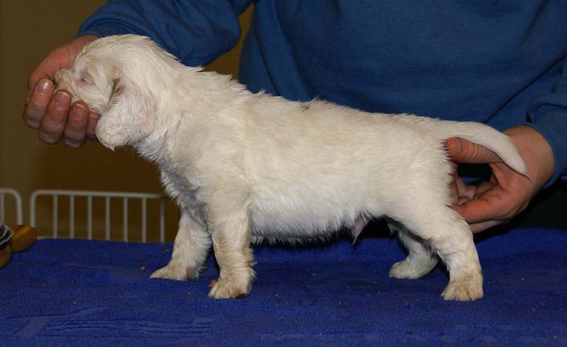 x_boy_green_back_4weeks_a