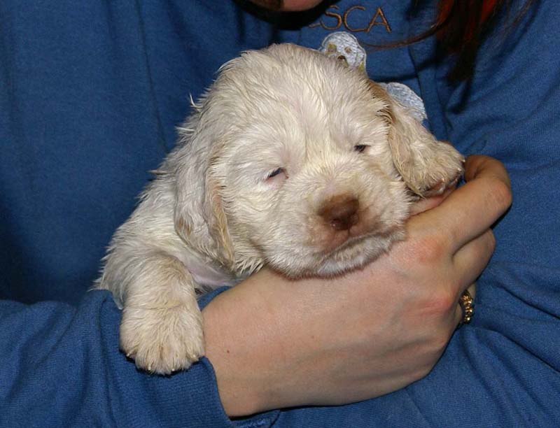 x_boy_green_back_4weeks_b