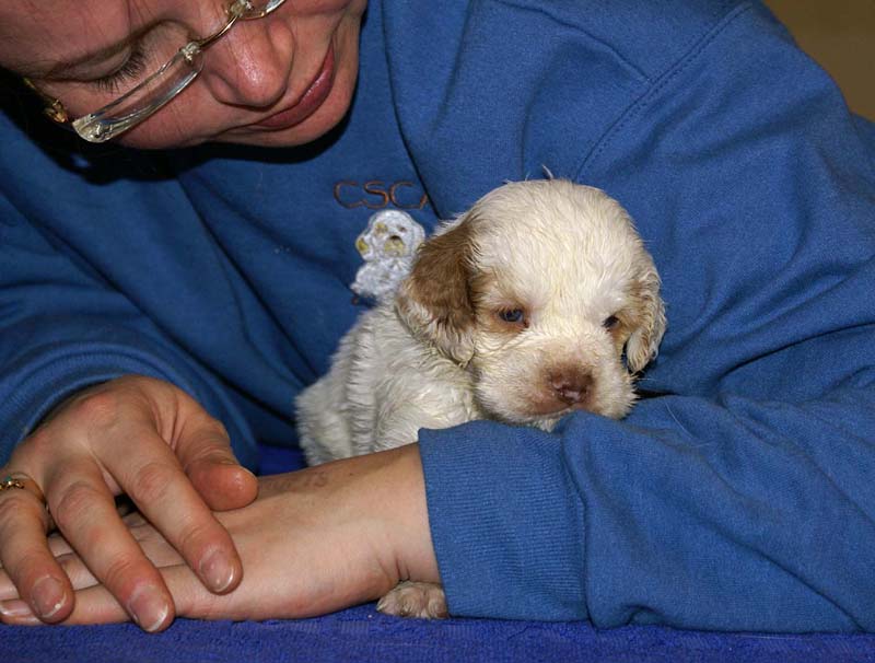 x_boy_green_head_4weeks_a