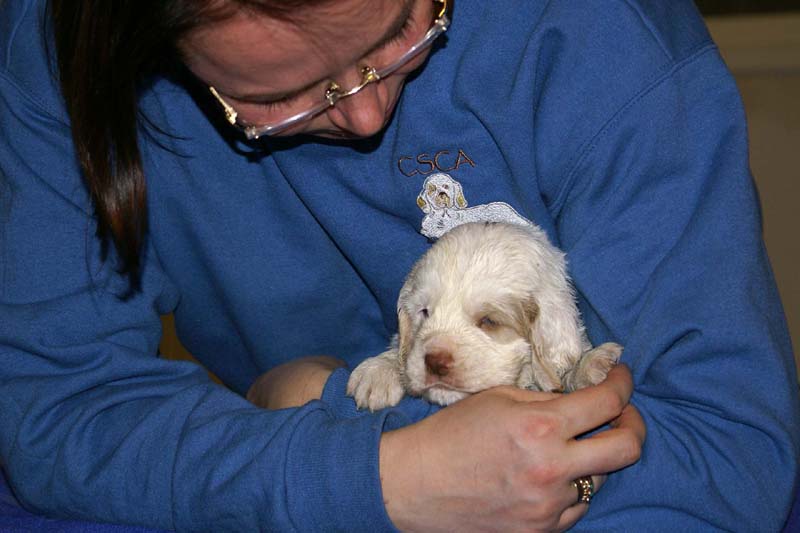 x_boy_purple_head_4weeks_a