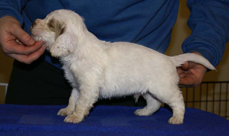 x_boy_purple_head_4weeks_b