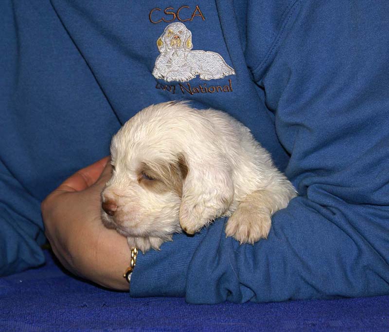 x_boy_purple_head_4weeks_c