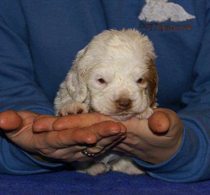 x_girl_bronze_back_4weeks_a