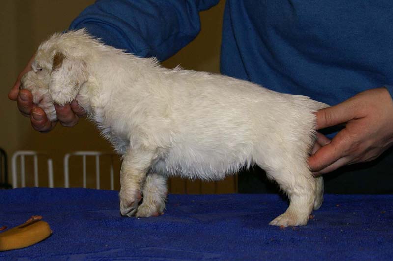 x_girl_pink_back_4weeks_a