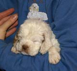 x_girl_pink_back_4weeks_c