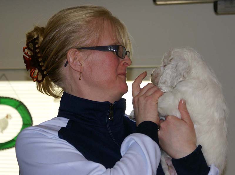 Boy_Bronze_Head_6weeks_m