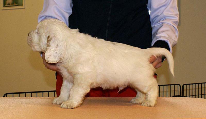 Boy_Green_Back_6weeks_a