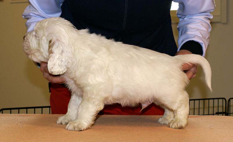 Boy_Green_Back_6weeks_b