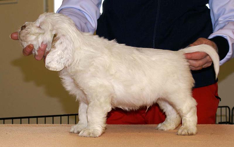 Boy_Green_Back_6weeks_d