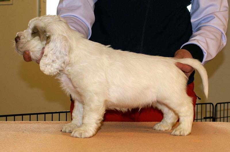 Boy_Purple_Head_6weeks_b