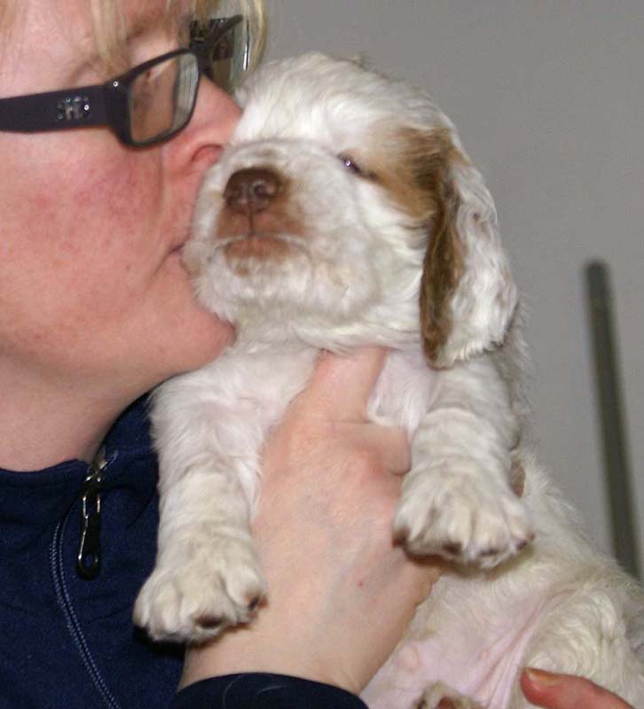 Girl_Bronze_Back_6weeks_a