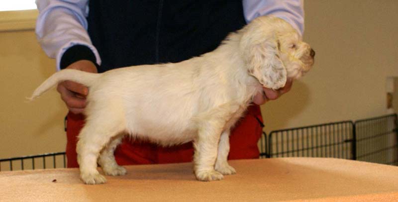 Girl_Bronze_Back_6weeks_d