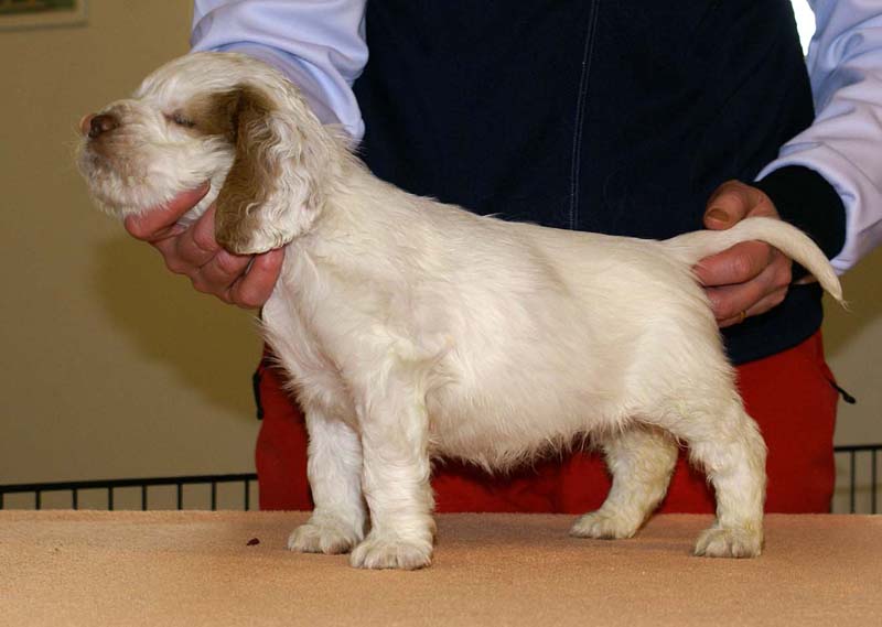 Girl_Bronze_Back_6weeks_g