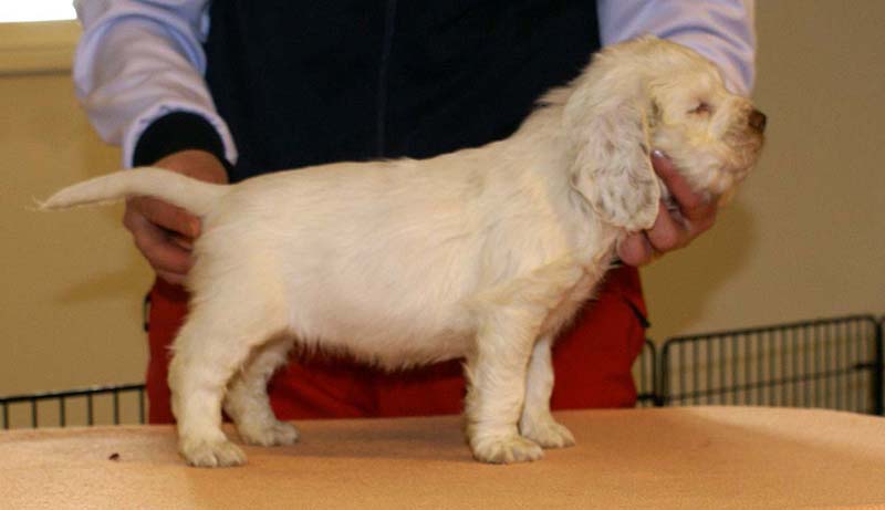 Girl_Bronze_Back_6weeks_h