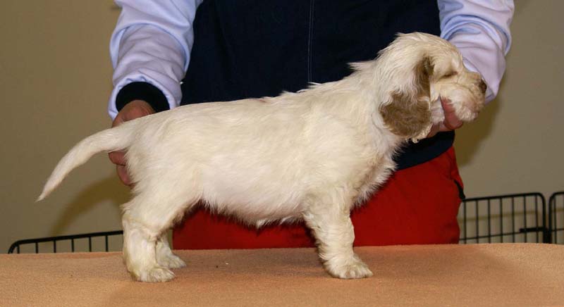 Girl_Pink_Back_6weeks_a