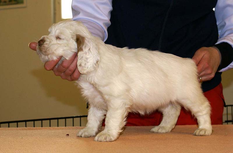 Girl_Pink_Back_6weeks_c