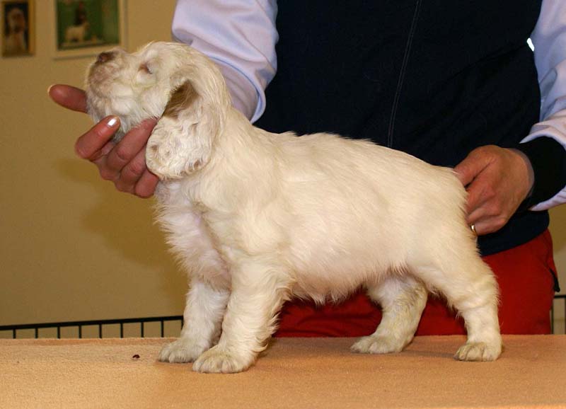 Girl_Pink_Back_6weeks_d